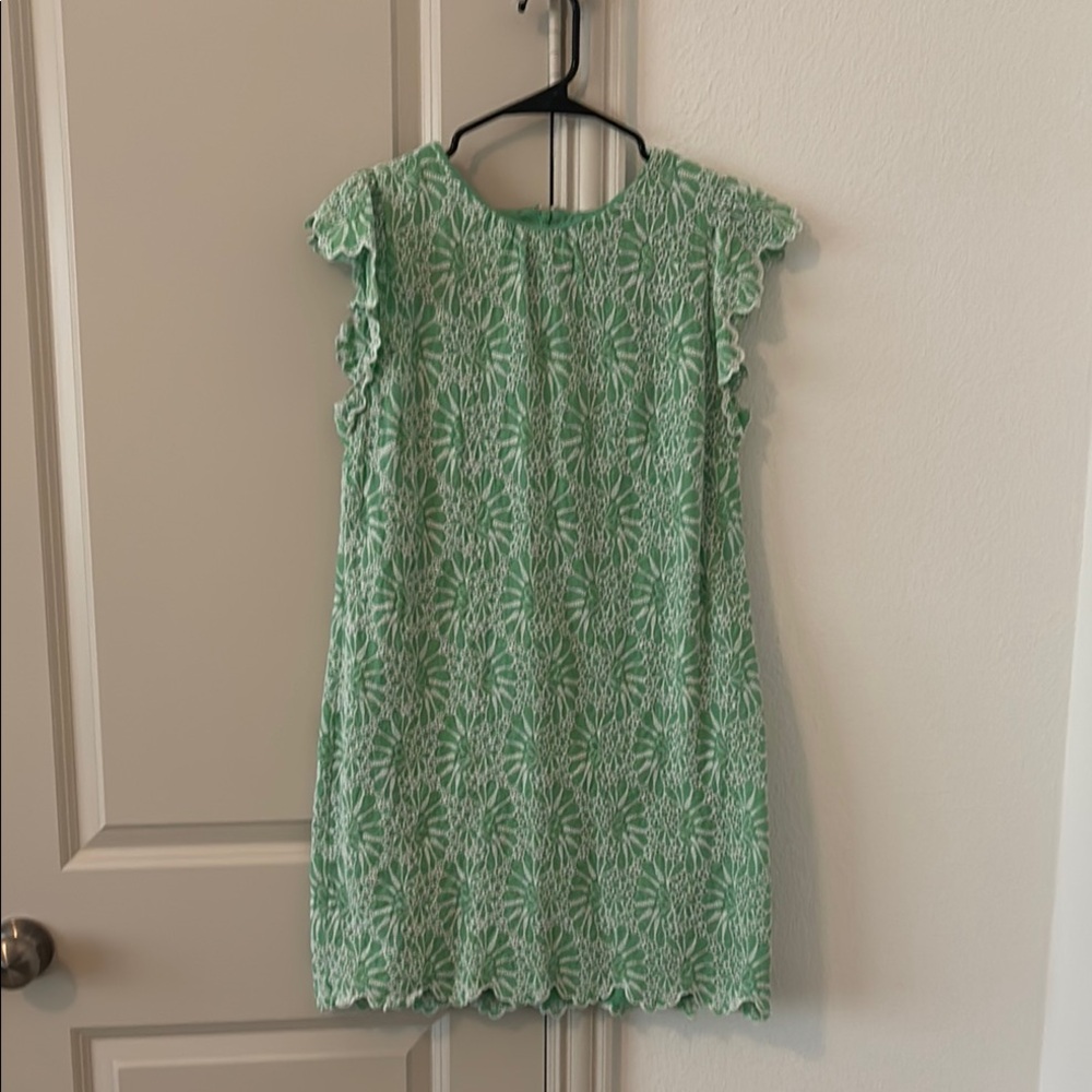 LOFT Green and White Lace Dress